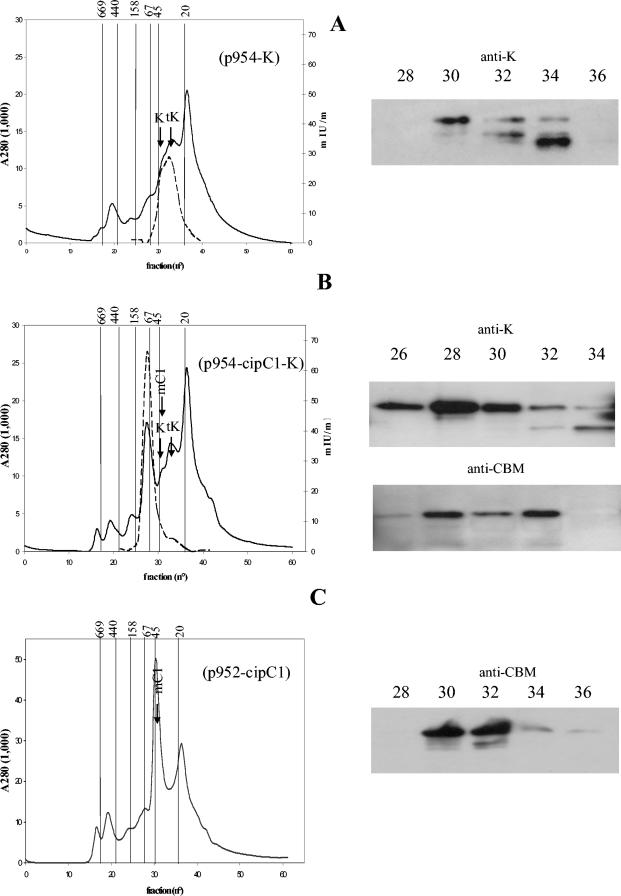 FIG. 3.