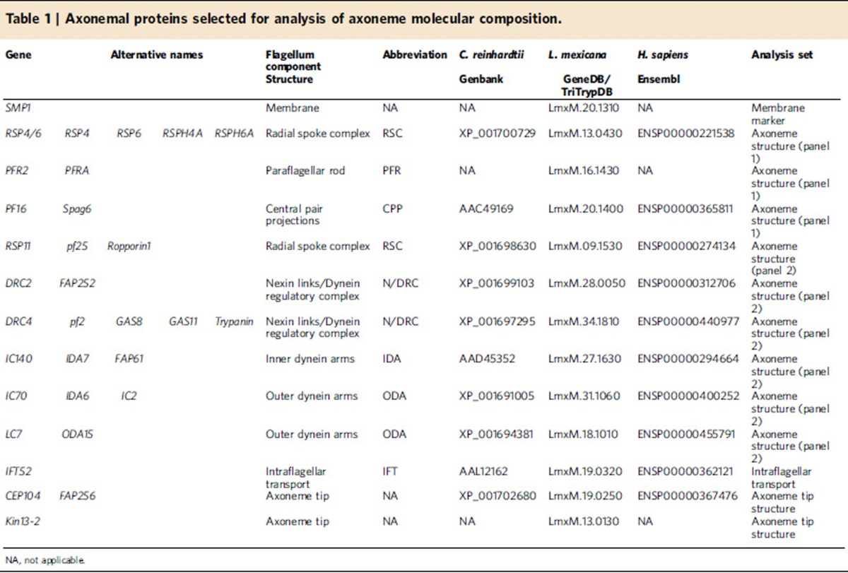 graphic file with name ncomms9964-t1.jpg