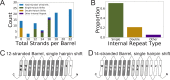 Figure 3—figure supplement 1.