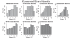 Figure 6—figure supplement 1.
