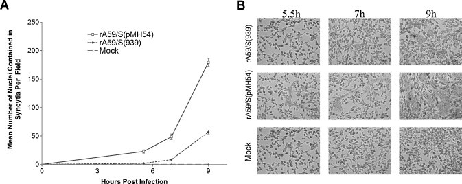 Fig. 7