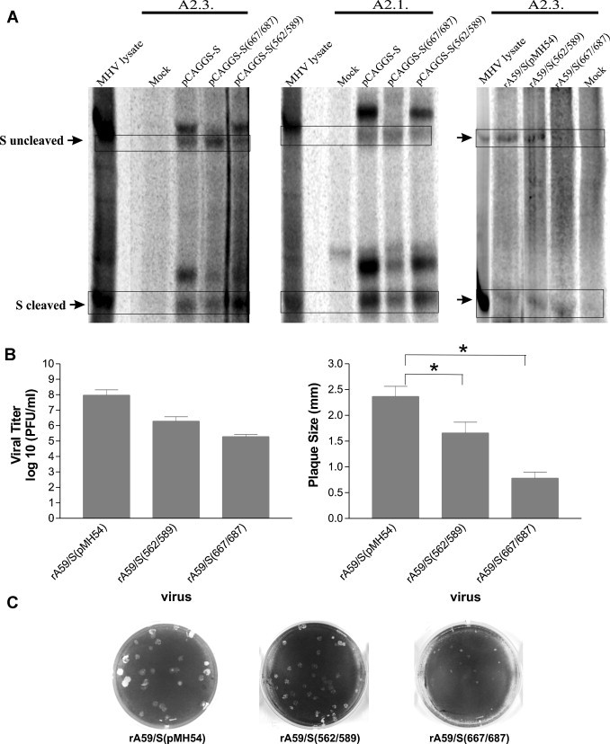 Fig. 5