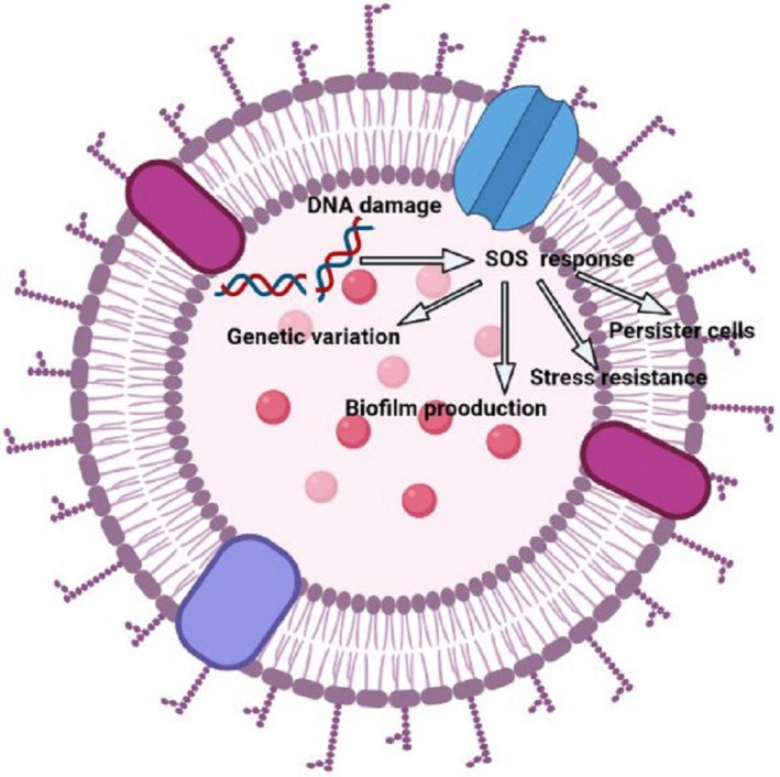 FIGURE 2