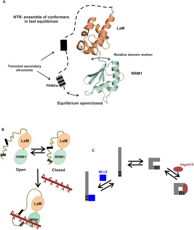 Figure 7.