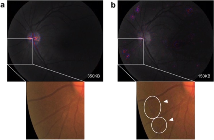 Fig. 3