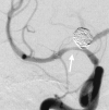 F<sc>ig</sc> 4.