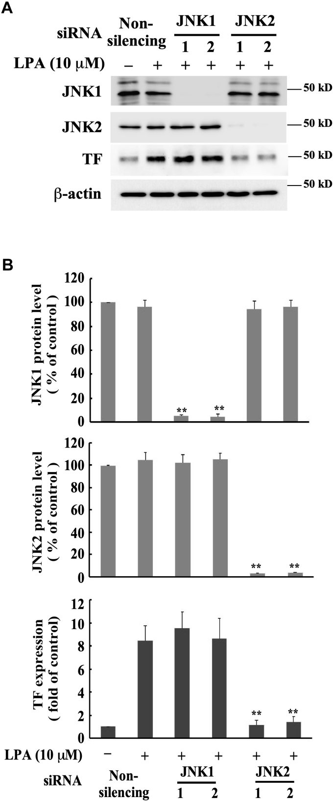 Figure 5