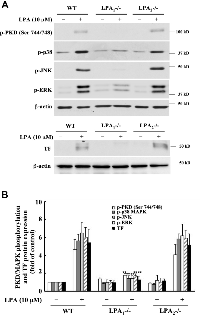 Figure 7