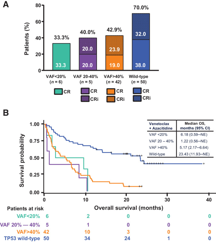 Figure 4. Response rates and OS by VAF. A, Response rates by VAF among patients with poor-risk cytogenetics and TP53mut treated with venetoclax + azacitidine. B, OS by variant allelic frequency among patients with poor-risk cytogenetics and TP53mut treated with venetoclax + azacitidine. Abbreviations: CR, complete remission; CRi, CR with incomplete hematologic recovery; NE, not evaluable.