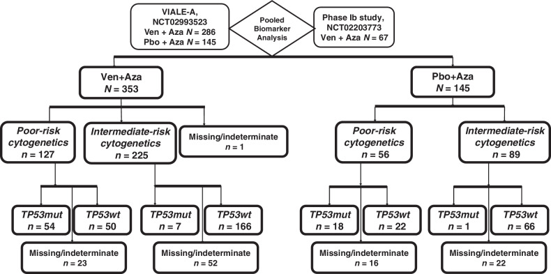 Figure 1. Study design and molecular classification. Abbreviations: Aza, azacitidine; mut, mutated; Pbo, placebo; wt, wild-type; Ven, venetoclax.