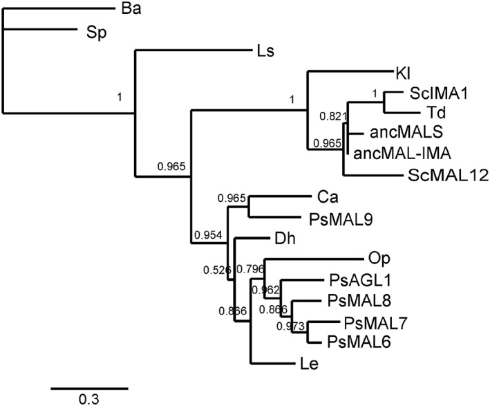 Figure 6