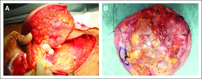 FIG A1.