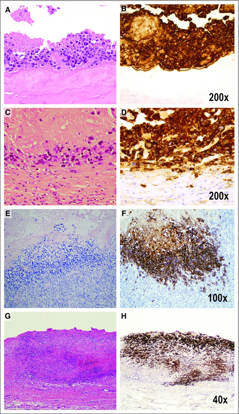 FIG 4.