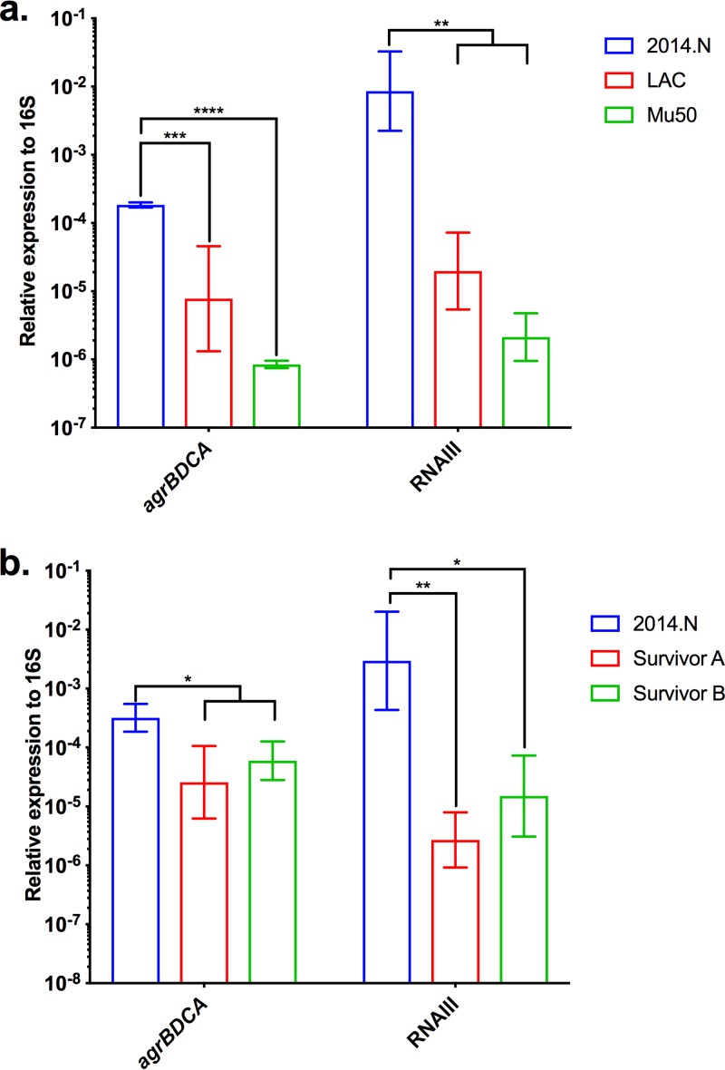 FIG 4