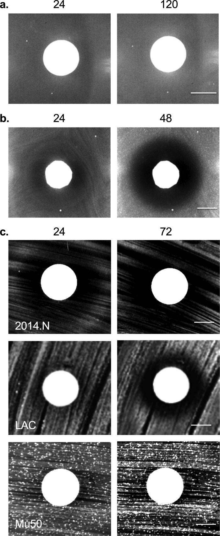 FIG 2