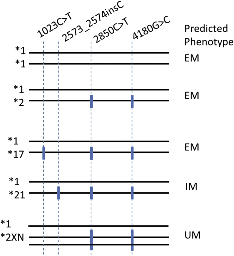 Figure 1