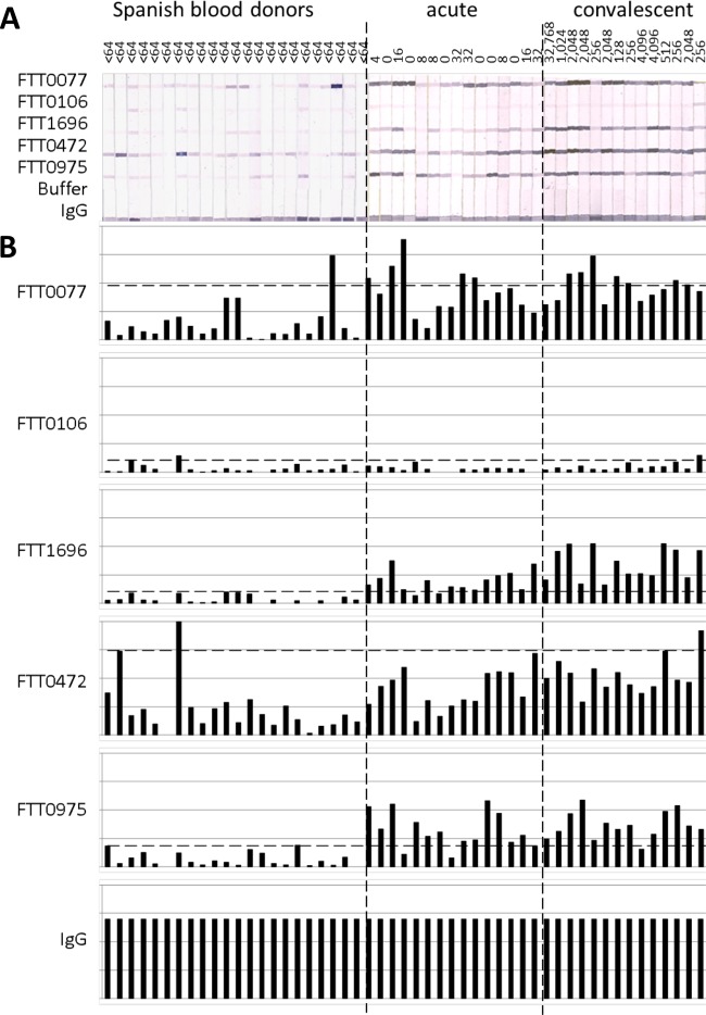 FIG 6