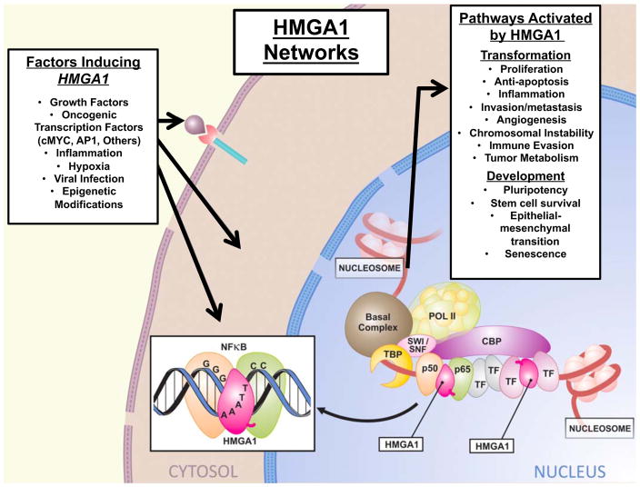 Fig. (3)