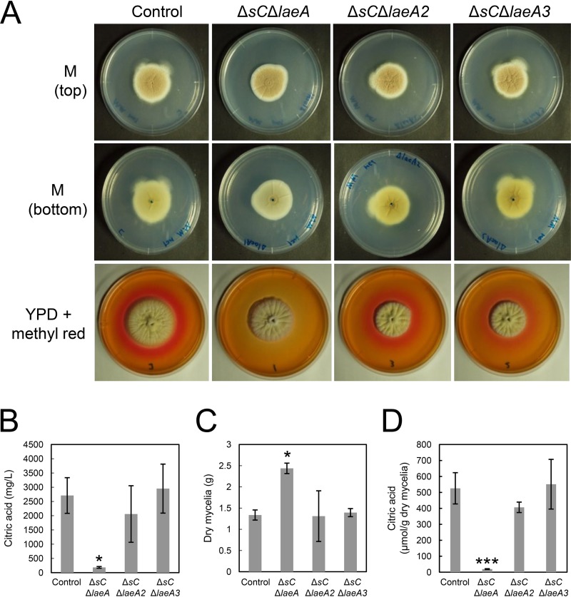 FIG 2