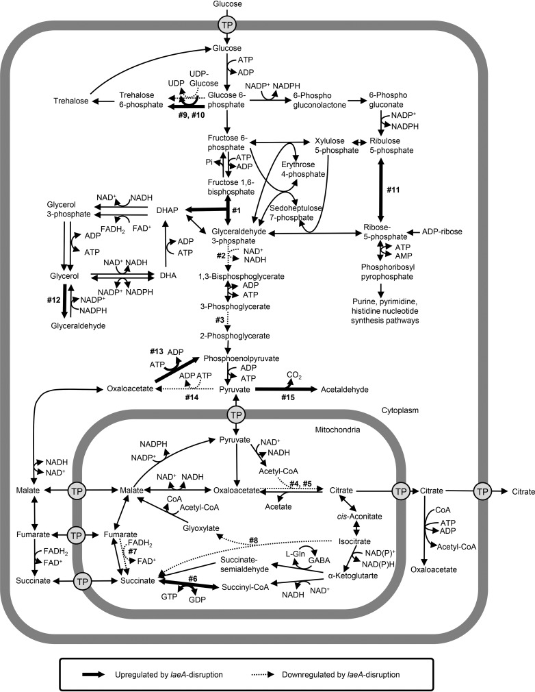 FIG 5