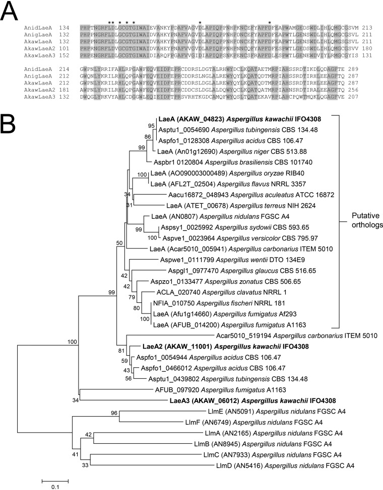 FIG 1