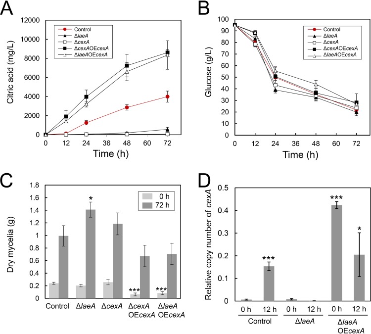 FIG 6