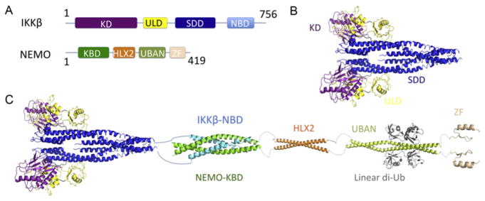 Figure 5.3