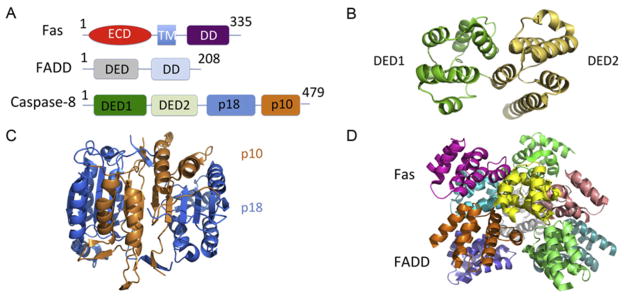 Figure 5.4