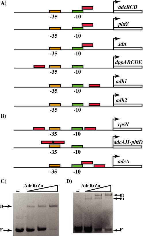 Figure 2.