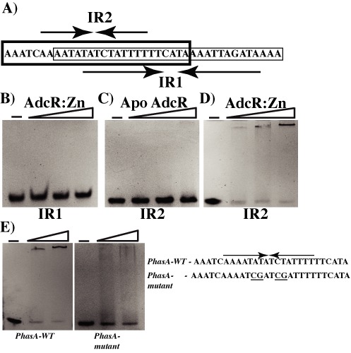 Figure 6.