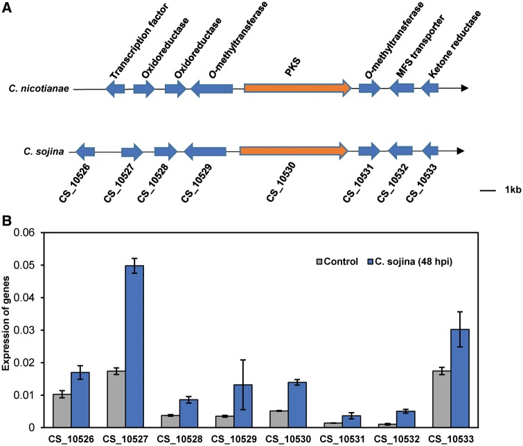 Figure 4.