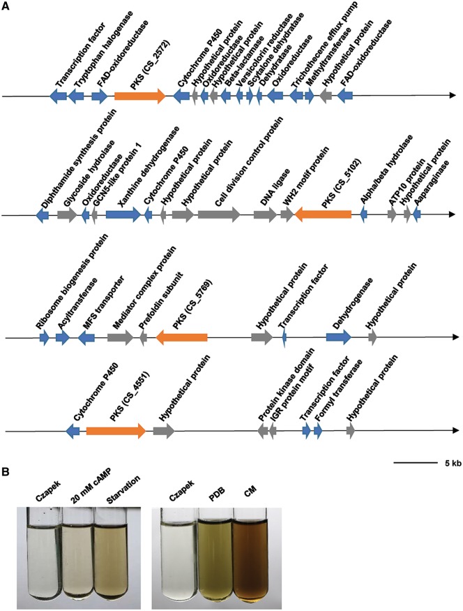 Figure 5.