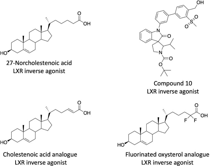 FIGURE 2