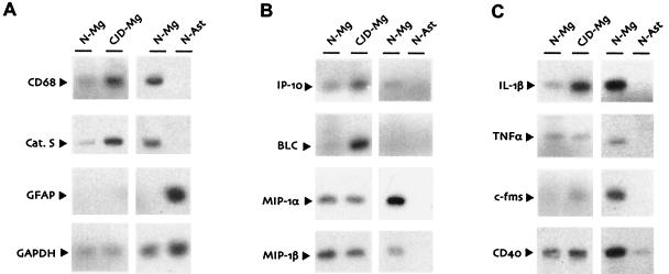 FIG. 3.