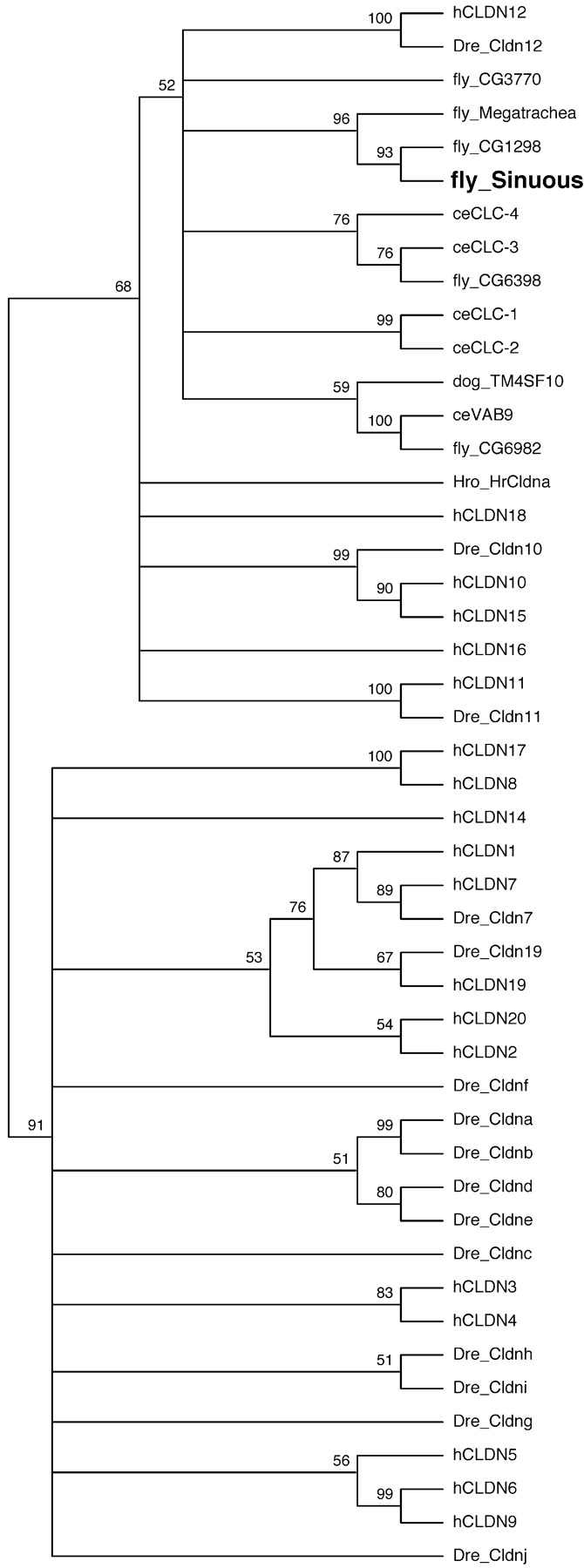 Figure 2.