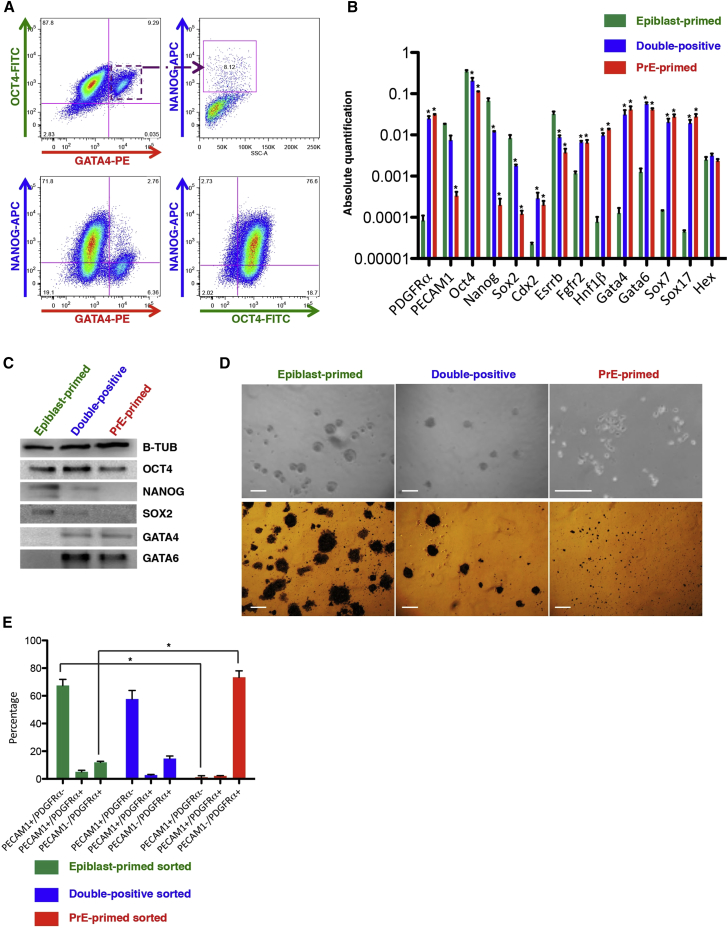 Figure 2