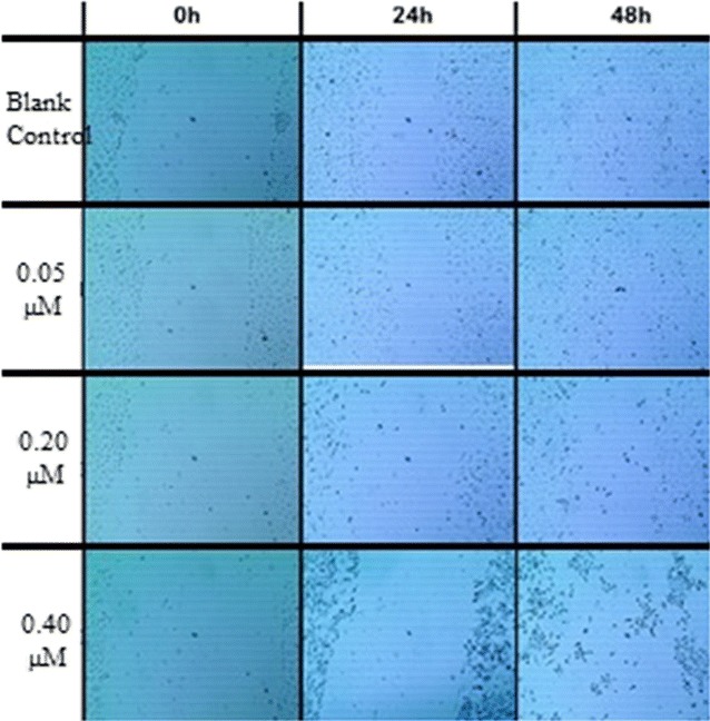 Fig. 7