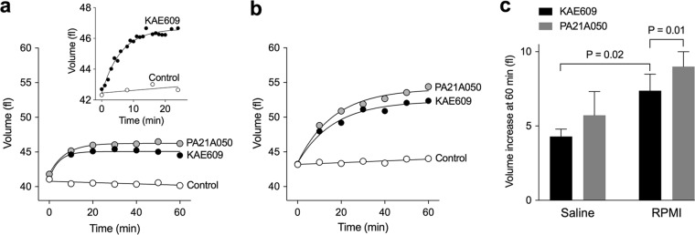 FIG 2