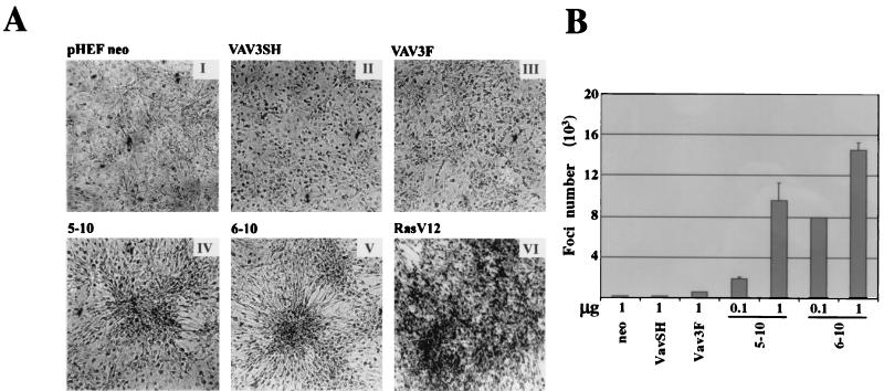 FIG. 12