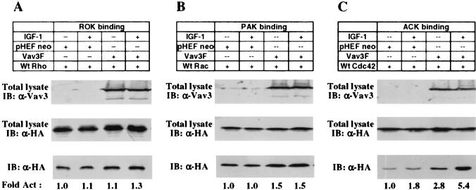 FIG. 10