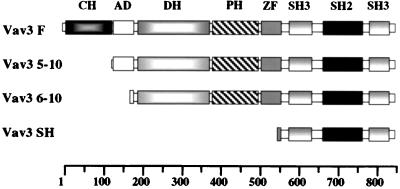 FIG. 1