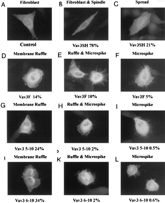 FIG. 11