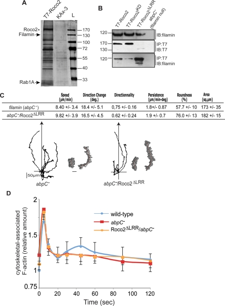 FIGURE 4: