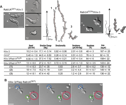 FIGURE 6: