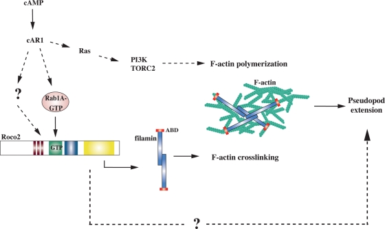 FIGURE 9: