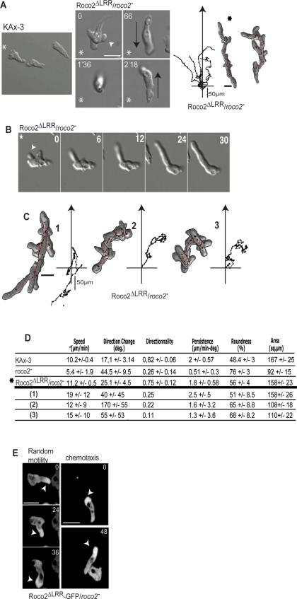 FIGURE 3: