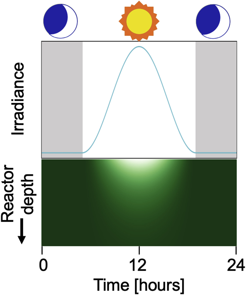 Fig. 4