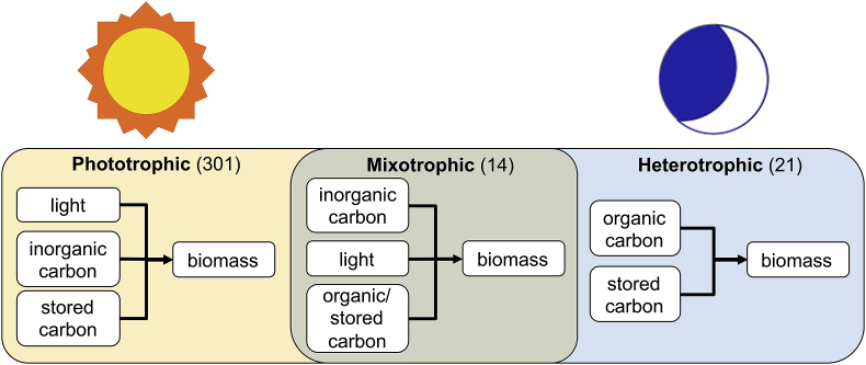 Fig. 1