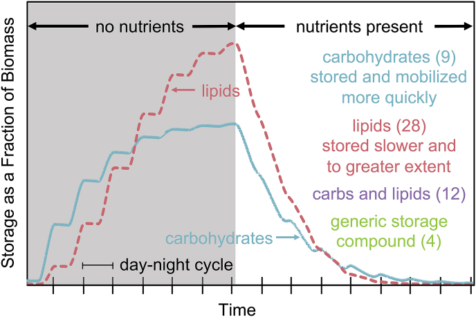 Fig. 3