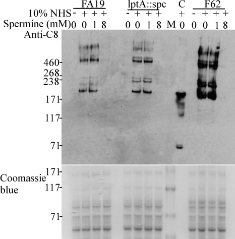 FIG. 5.